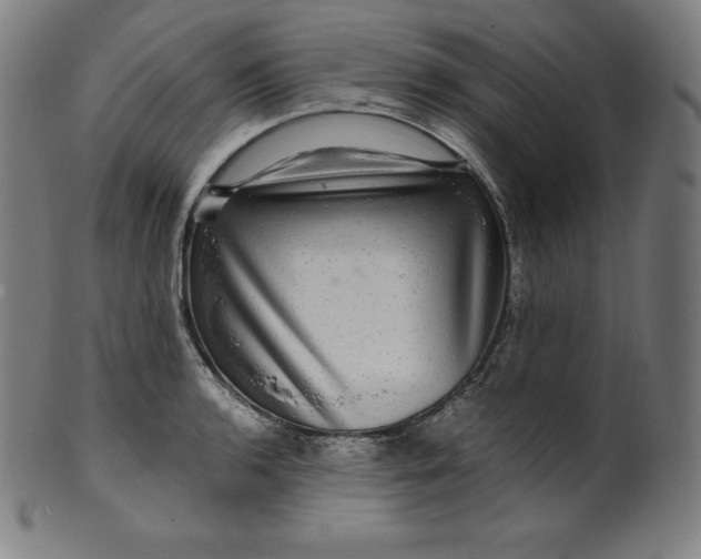 X0000099951136200806061536