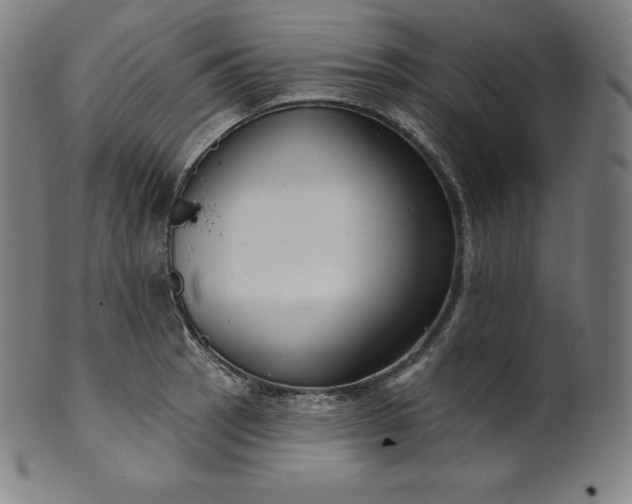 X0000099951137200806061536