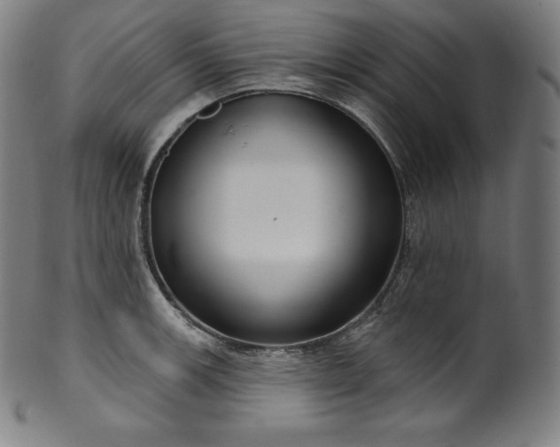 X0000099951139200806061536