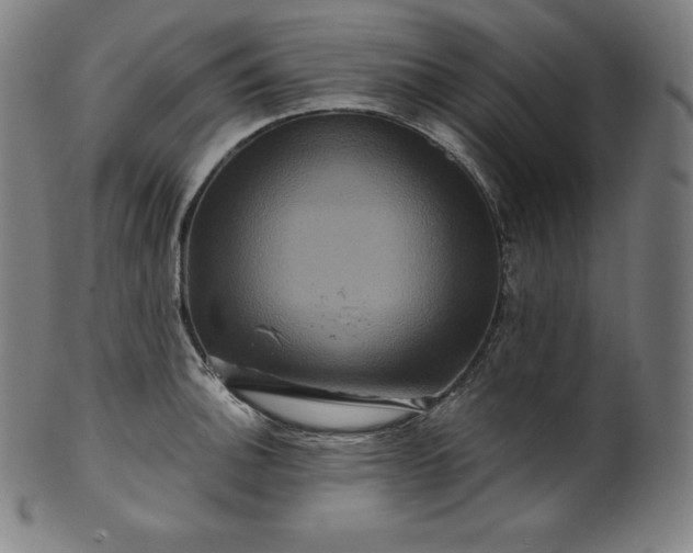 X0000099951140200806061536