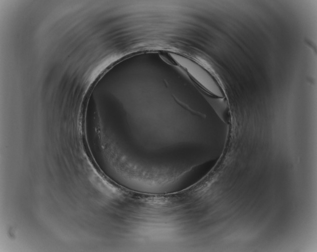 X0000099951141200806061536