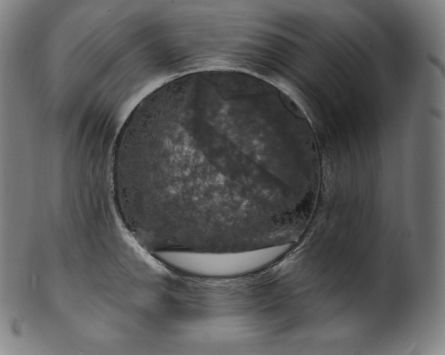 X0000099951142200806061536