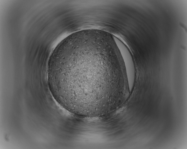 X0000099951143200806061536