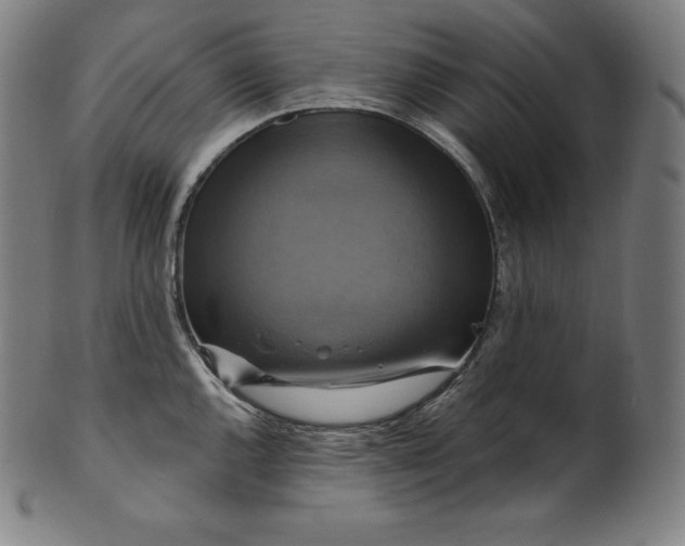 X0000099951144200806061536