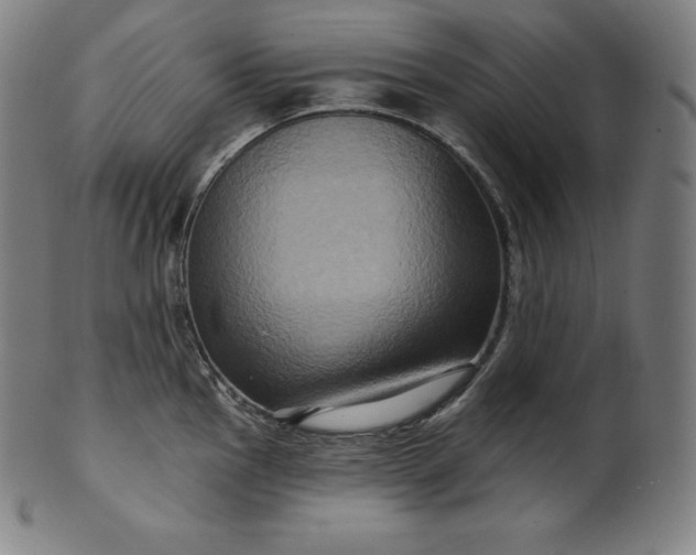 X0000099951145200806061536