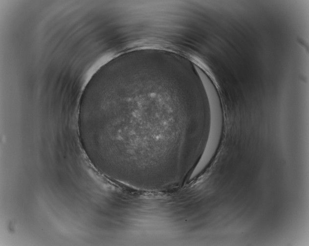 X0000099951146200806061536