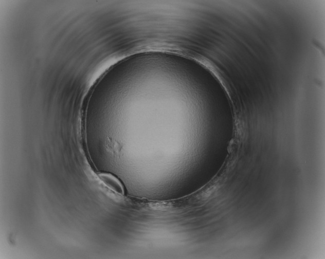 X0000099951147200806061536