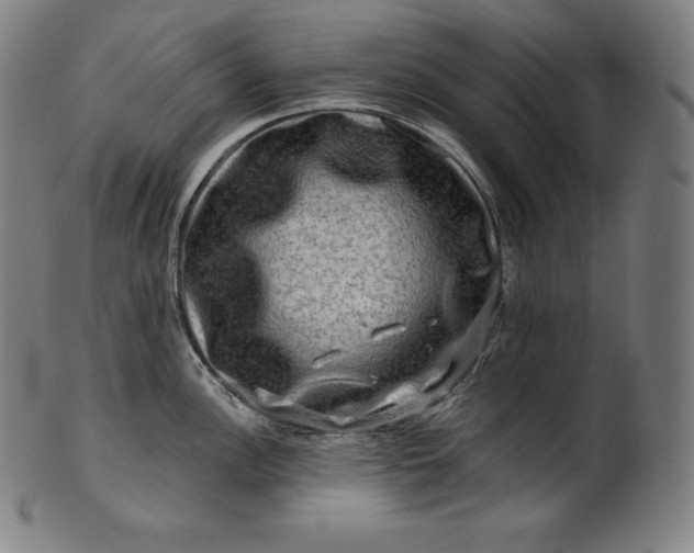 X0000099951148200806061536