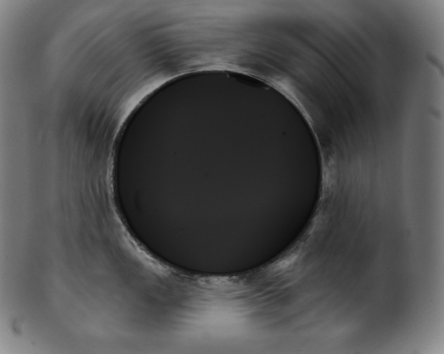 X0000099951149200806061536