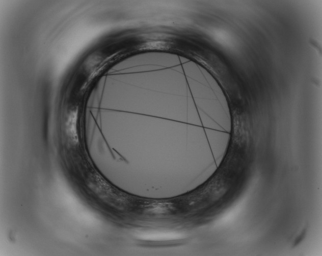 X0000099951150200806061536