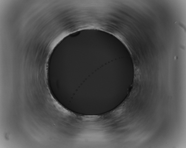 X0000099951151200806061536