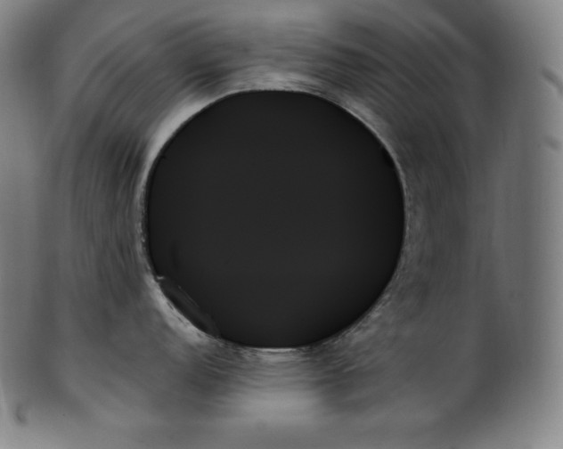 X0000099951152200806061536