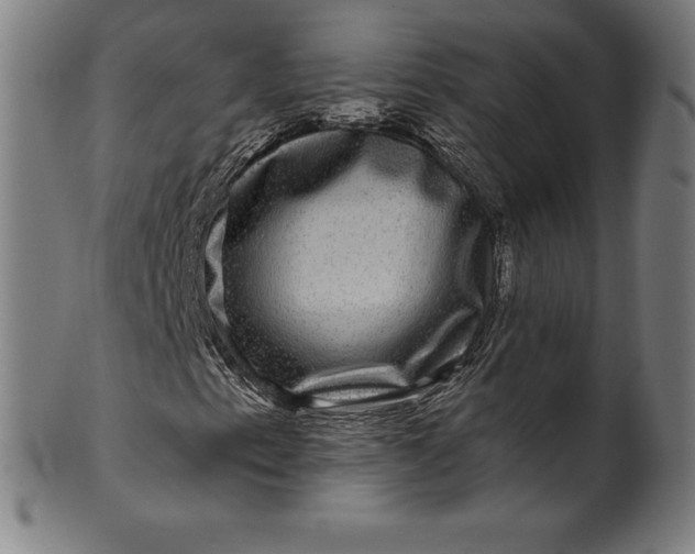 X0000099951153200806061535