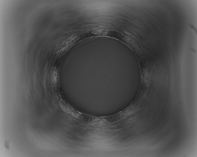 X0000099951154200806061535