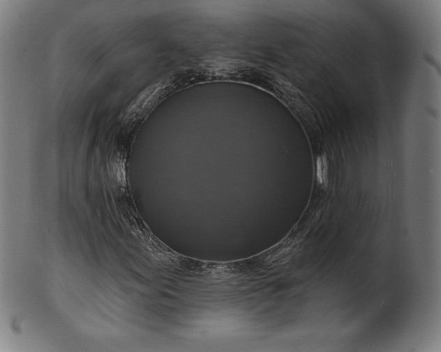 X0000099951155200806061535