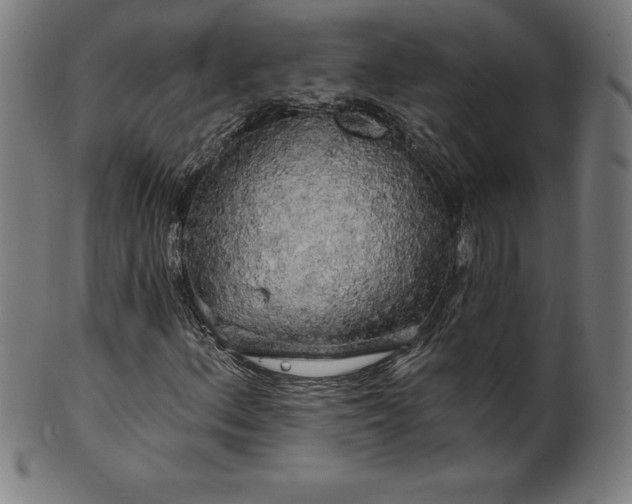 X0000099951156200806061535