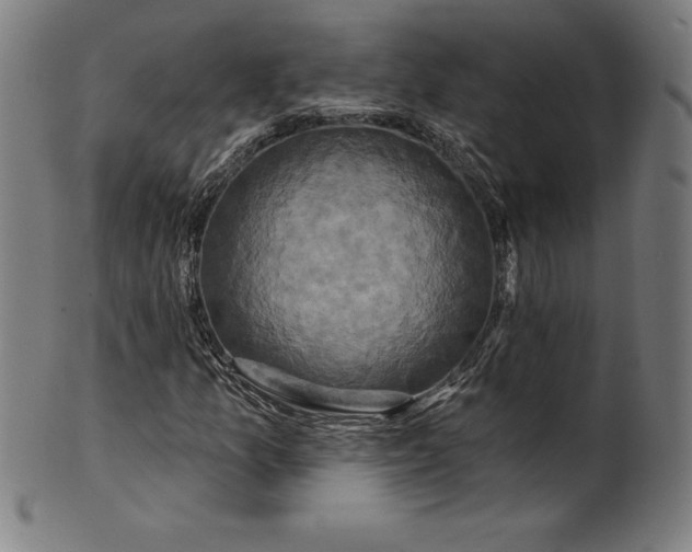 X0000099951157200806061535