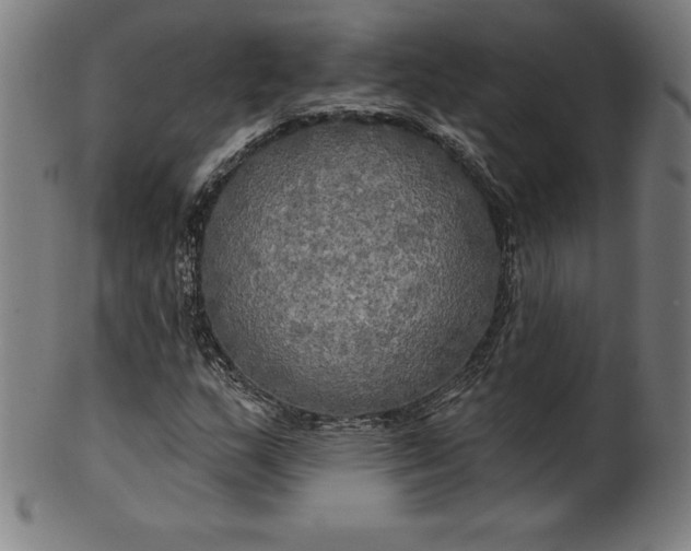 X0000099951159200806061535