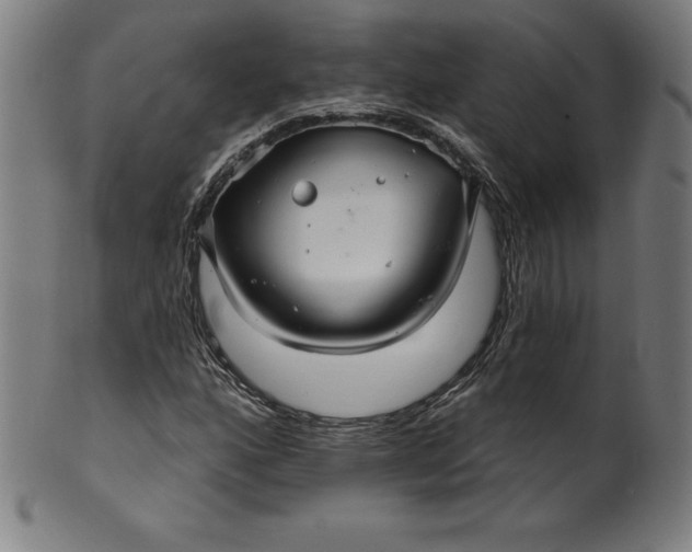 X0000099951160200806061535