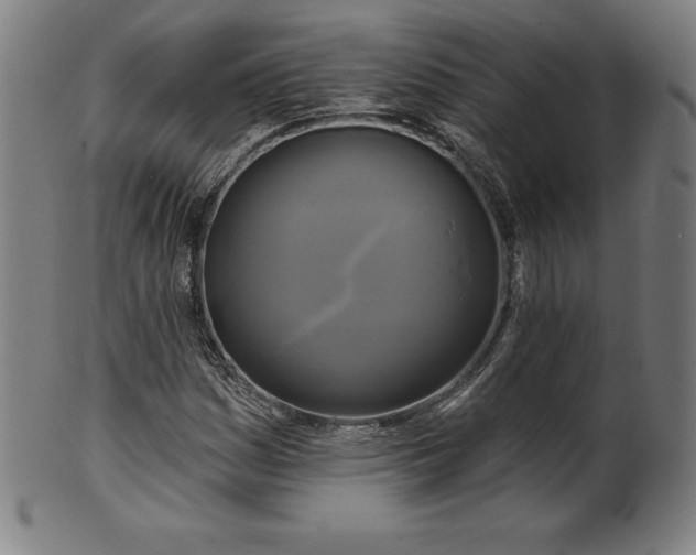 X0000099951161200806061535