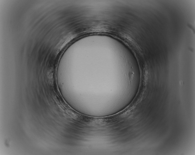 X0000099951162200806061535