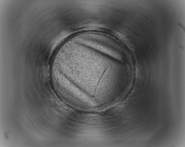 X0000099951164200806061535