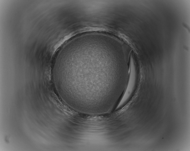 X0000099951165200806061535