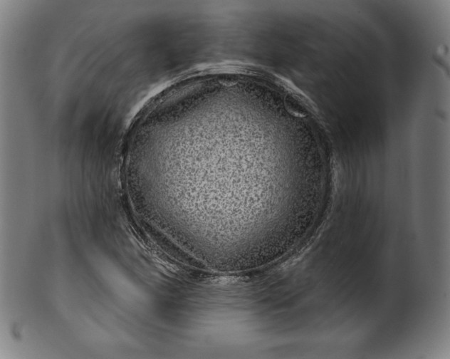 X0000099951166200806061535