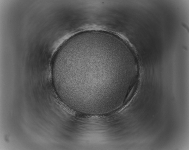 X0000099951167200806061535