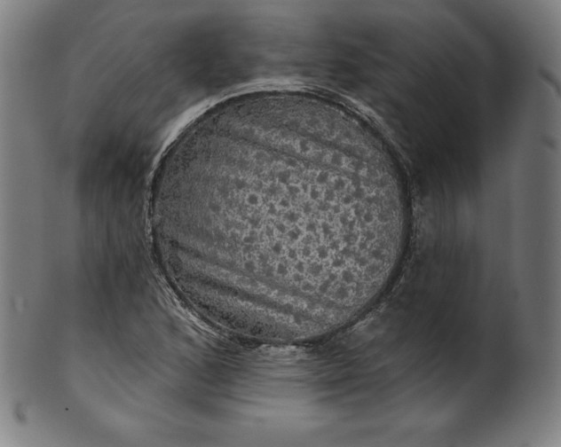 X0000099951168200806061535