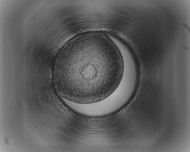 X0000099951169200806061535