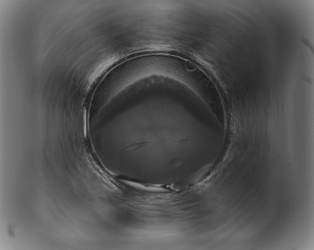 X0000099951171200806061535