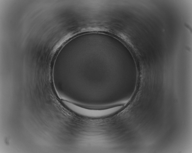 X0000099951173200806061535