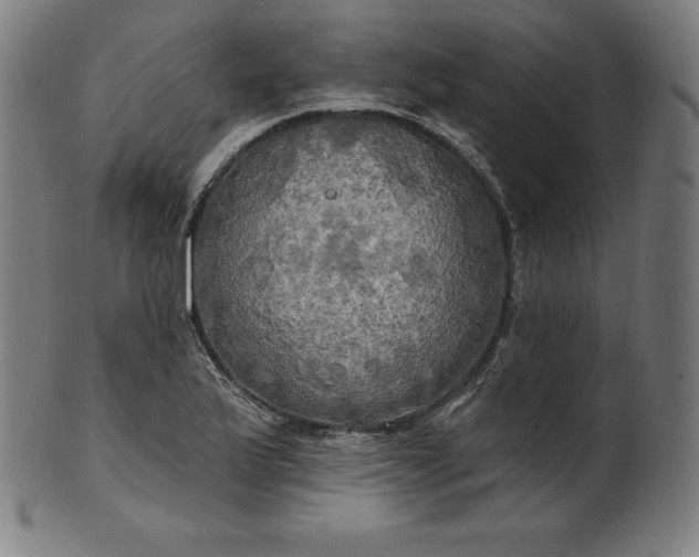 X0000099951175200806061535