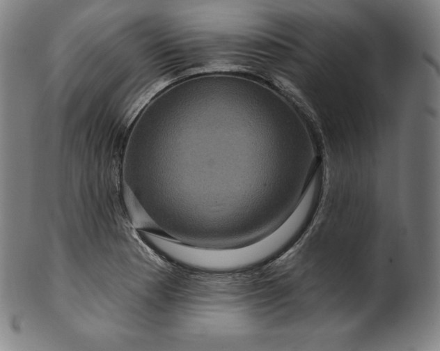 X0000099951177200806061535