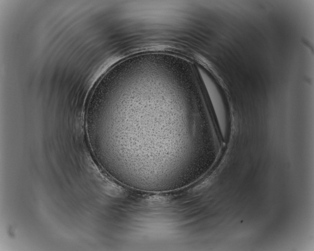 X0000099951178200806061535