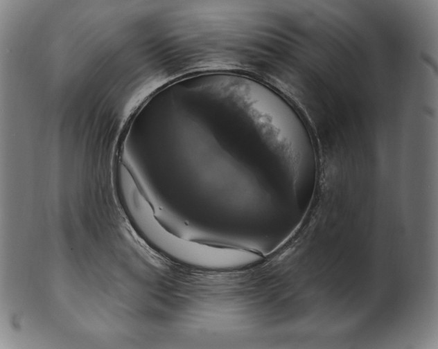 X0000099951179200806061535