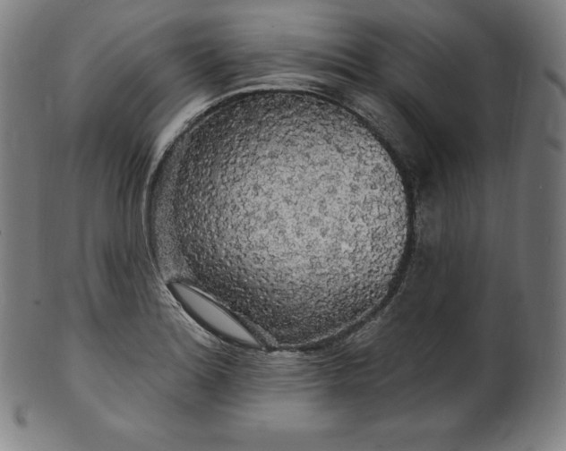 X0000099951180200806061535