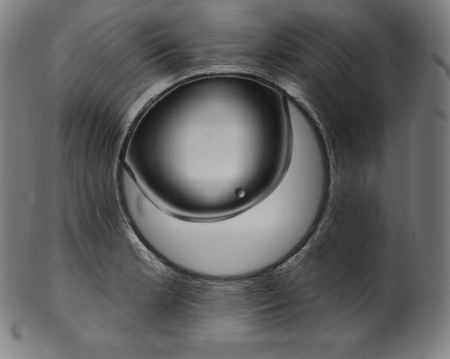 X0000099951181200806061535