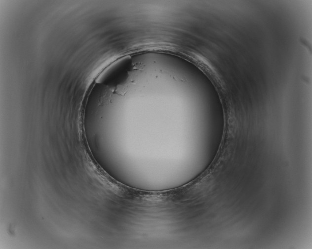 X0000099951182200806061535