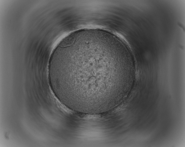 X0000099951183200806061535