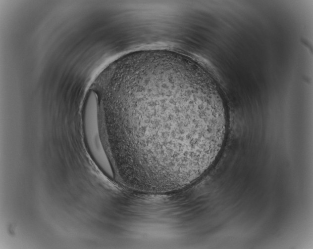 X0000099951184200806061535