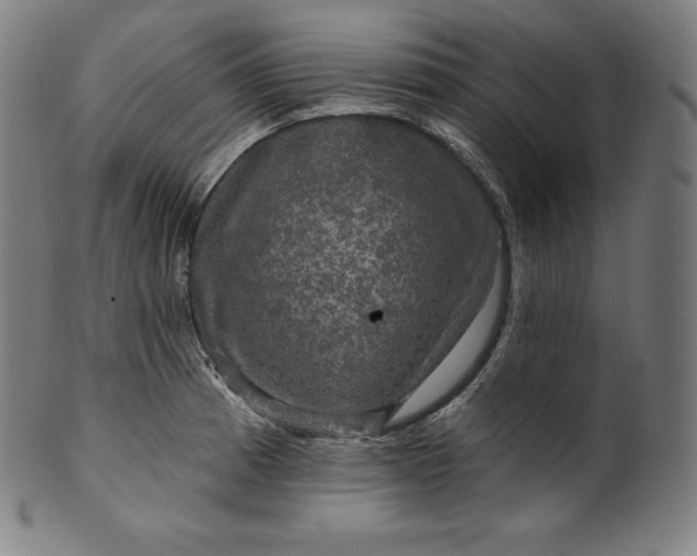 X0000099951185200806061535