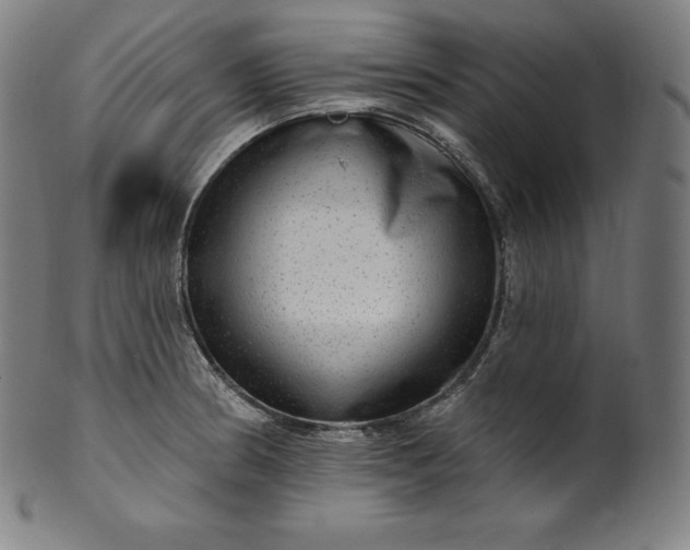 X0000099951186200806061535