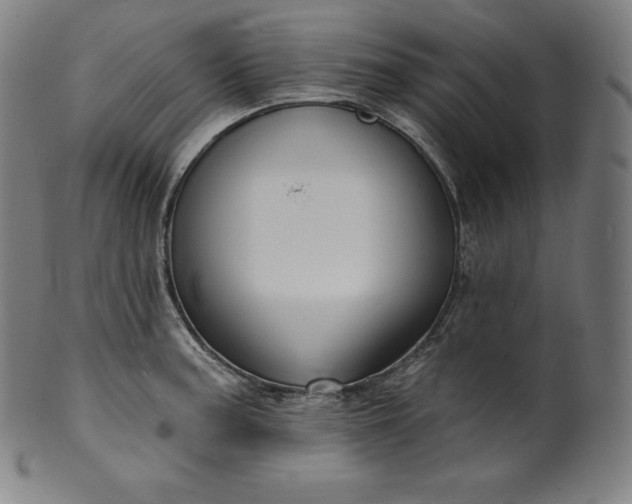 X0000099951187200806061535