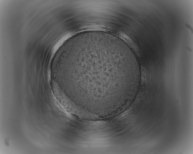 X0000099951188200806061535