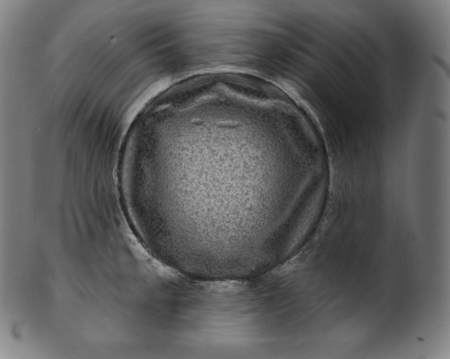 X0000099951189200806061535