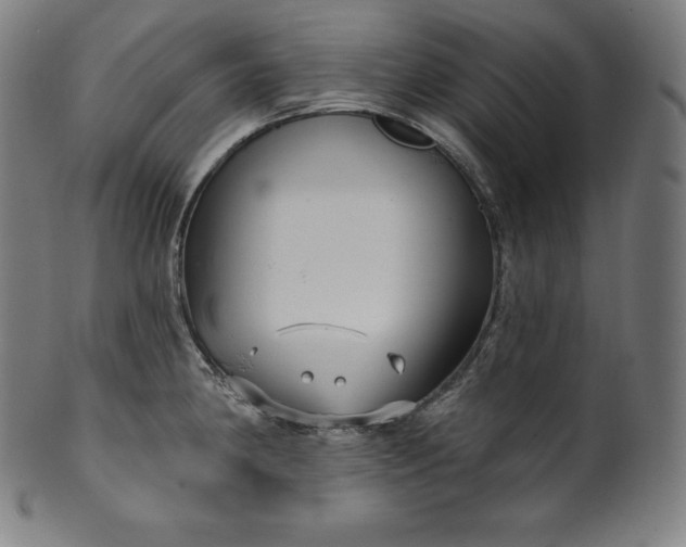 X0000099951190200806061535