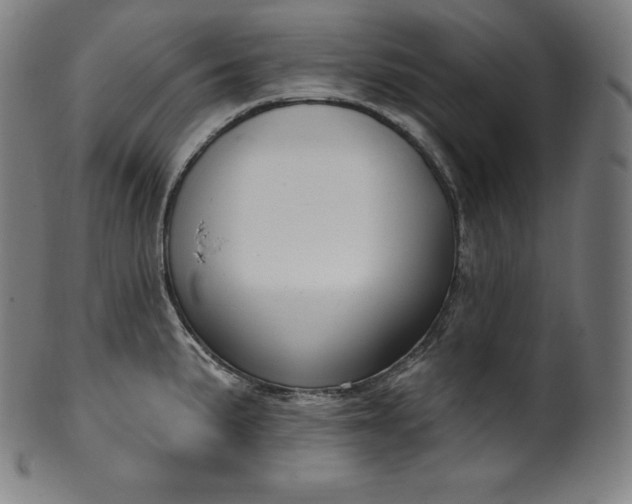 X0000099951191200806061535