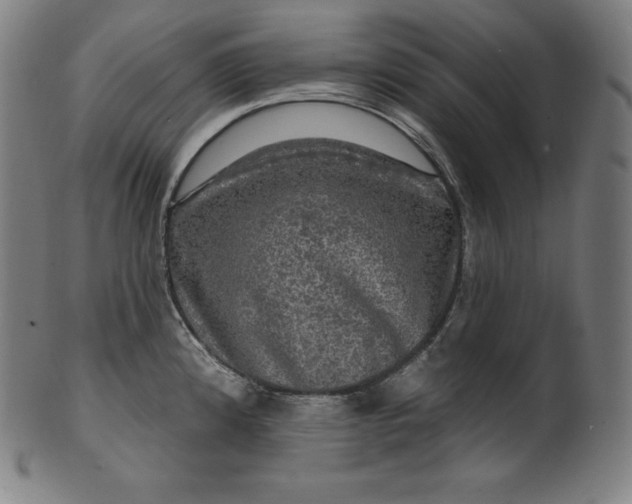 X0000099951192200806061535